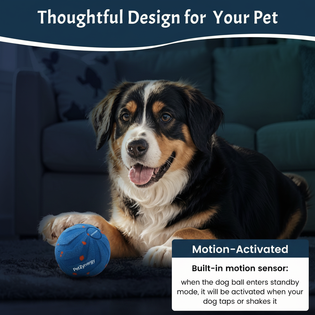 Thoughtful Design Motion Activated